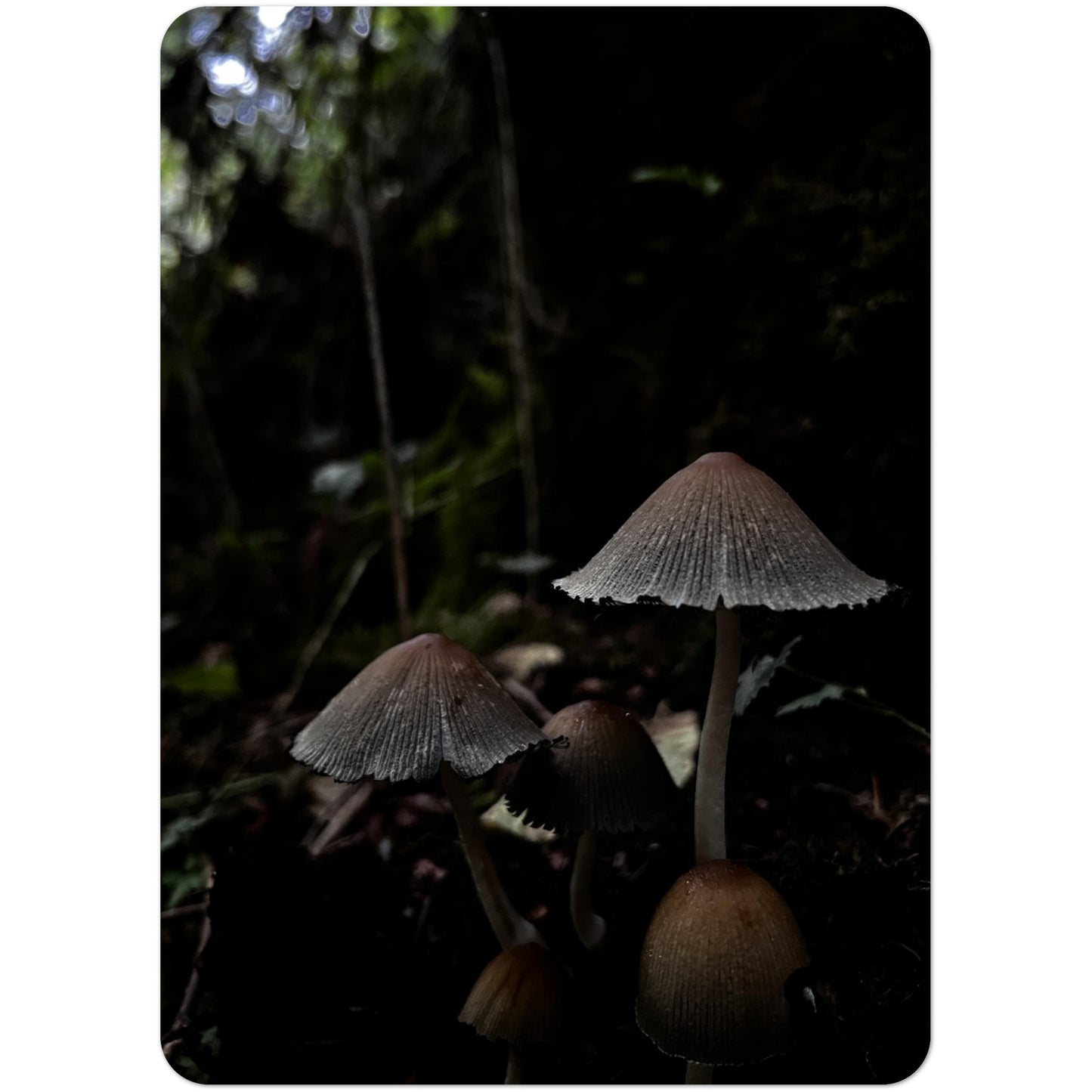 8a7175b5-85c6-458b-9d04-b0f412d1eaec