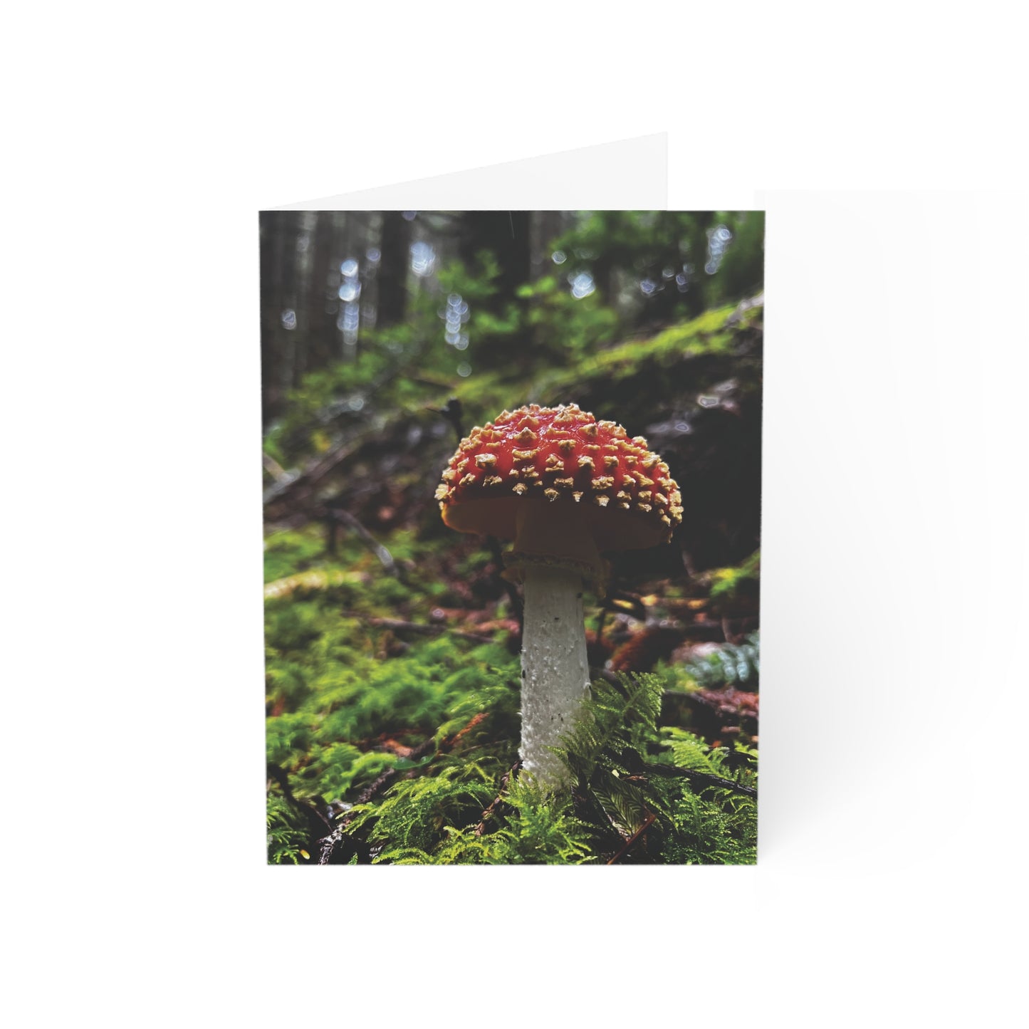 Fogarty Amanita Greeting Cards (1, 10, 30, and 50pcs)