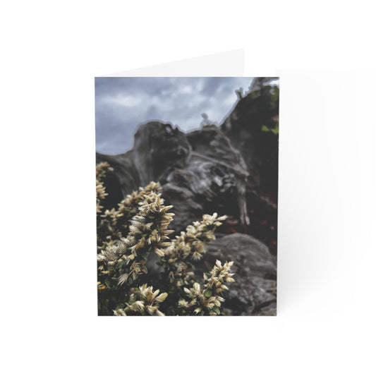 Siletz Coyote Bush Greeting Cards (1, 10, 30, and 50pcs)