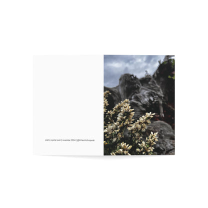 Siletz Coyote Bush Greeting Cards (1, 10, 30, and 50pcs)