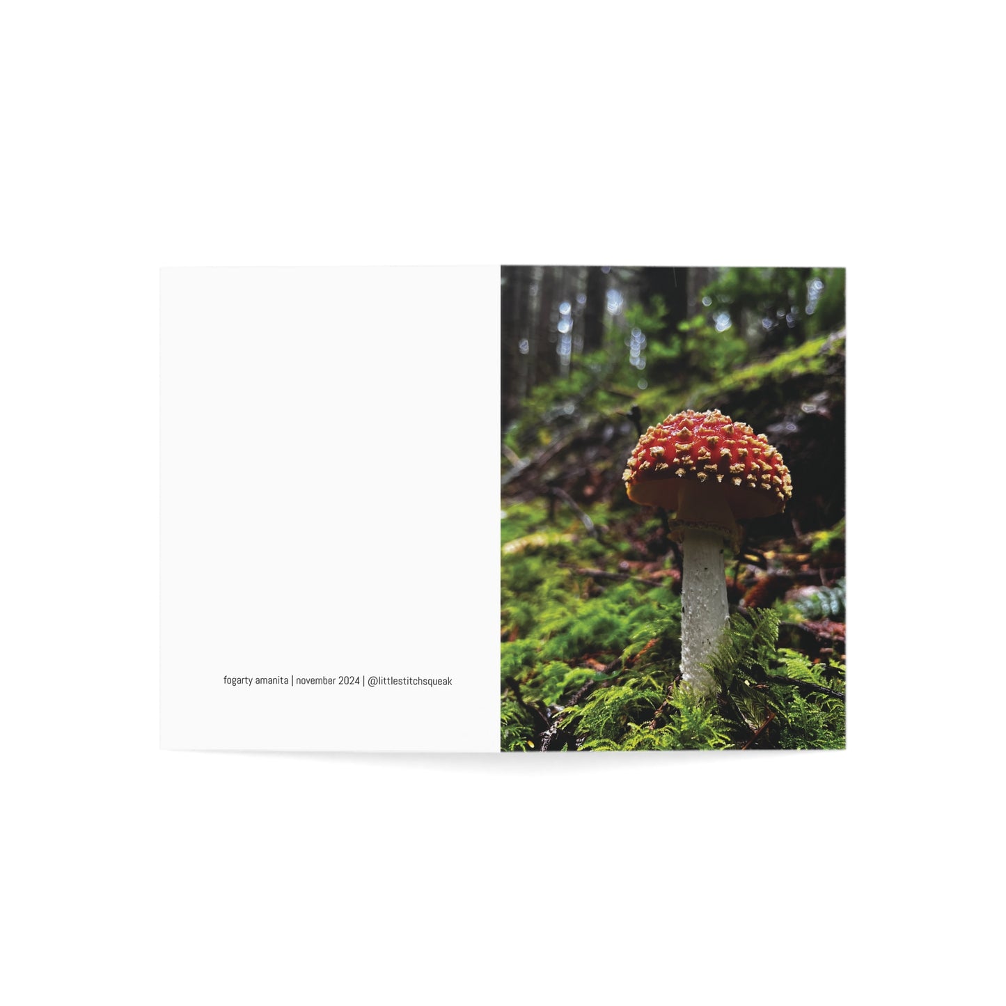 Fogarty Amanita Greeting Cards (1, 10, 30, and 50pcs)