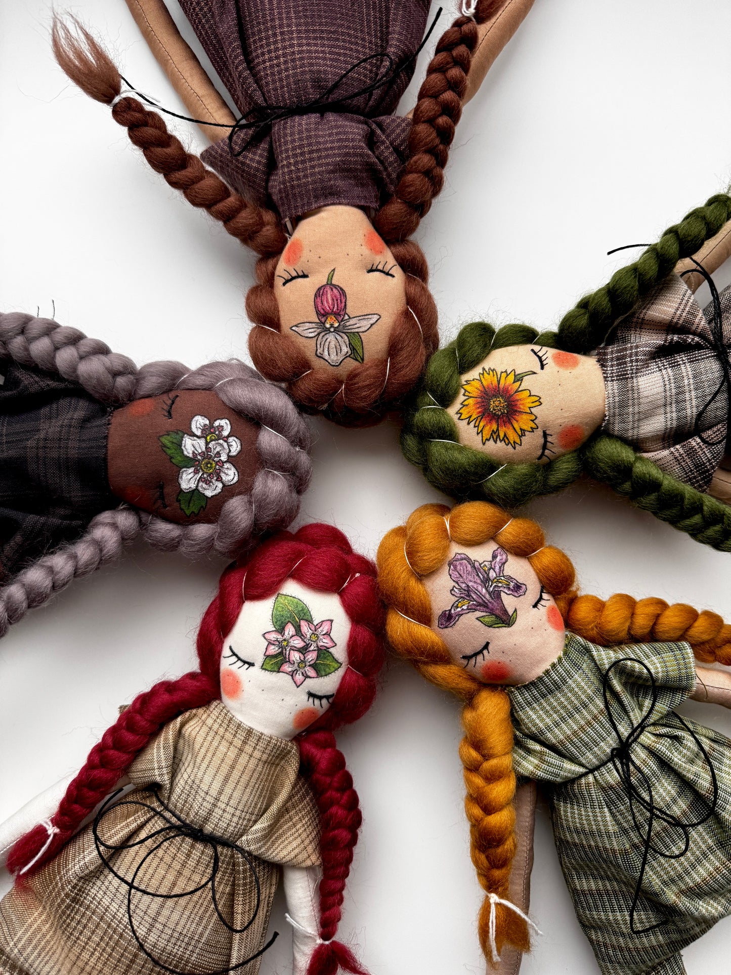 State Flowers : Michigan Dwarf Lake Iris