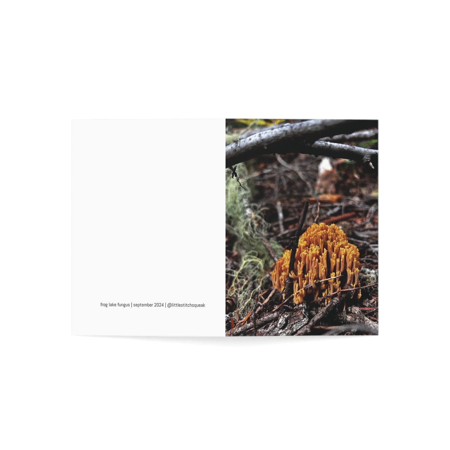 Frog Lake Fungus Greeting Cards (1, 10, 30, and 50pcs)