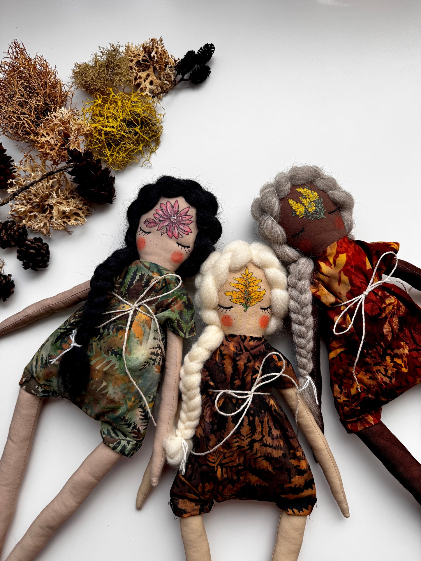 State Flowers : Montana Bitterroot