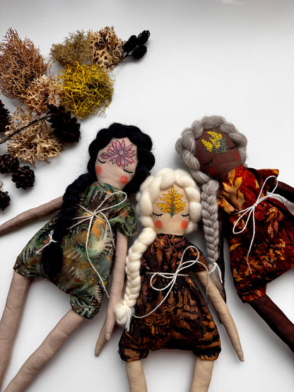 State Flowers : Montana Bitterroot