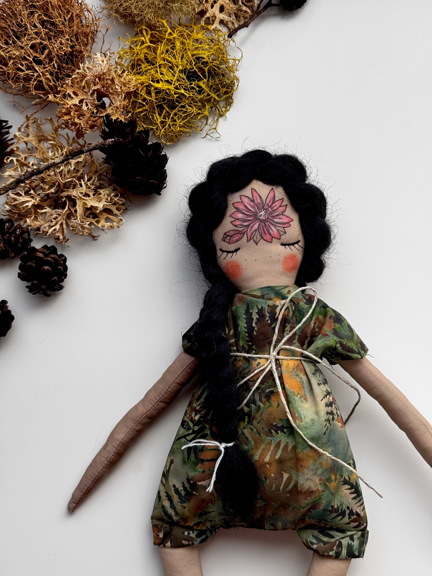 State Flowers : Montana Bitterroot