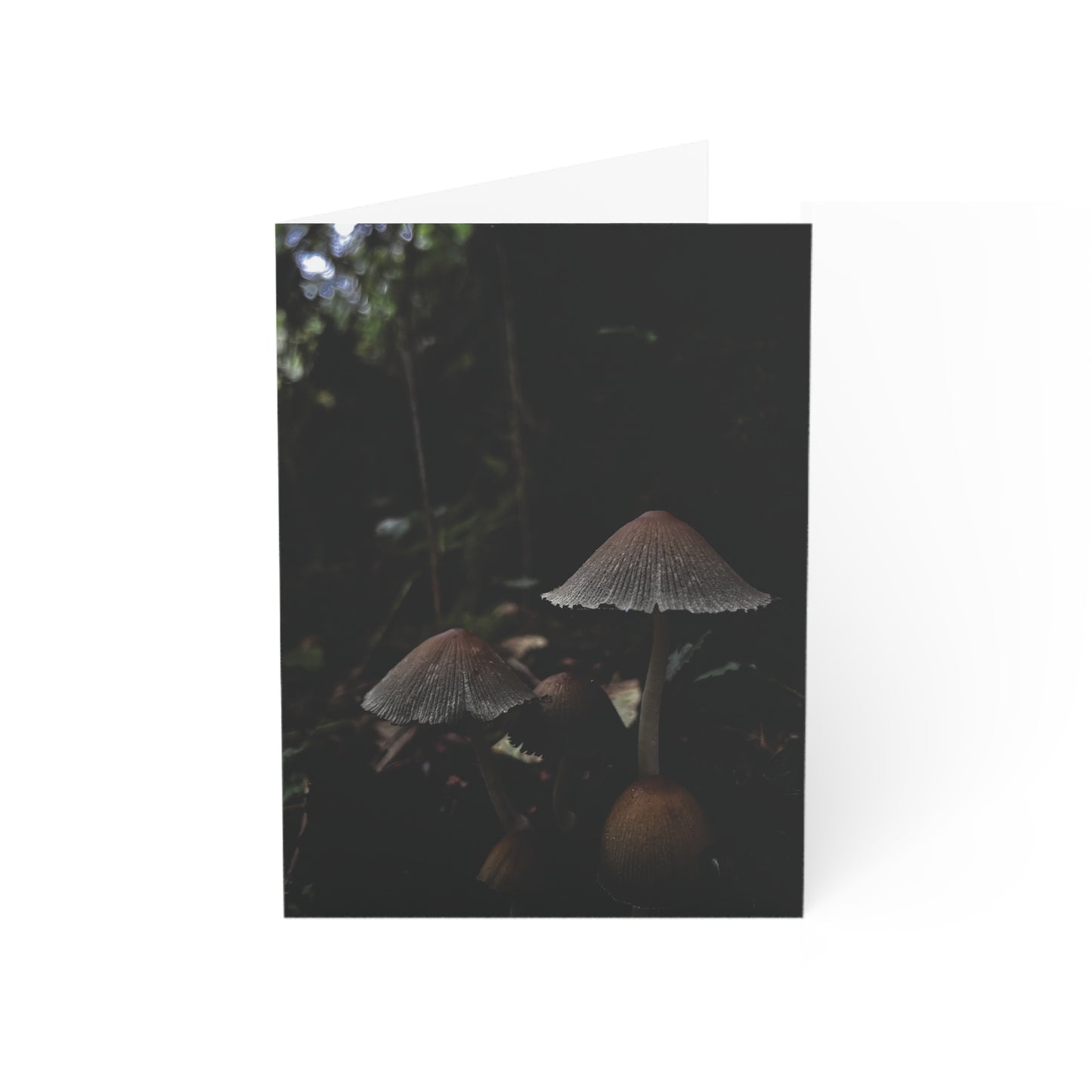 Scouters Mushrooms Greeting Cards (1, 10, 30, and 50pcs)