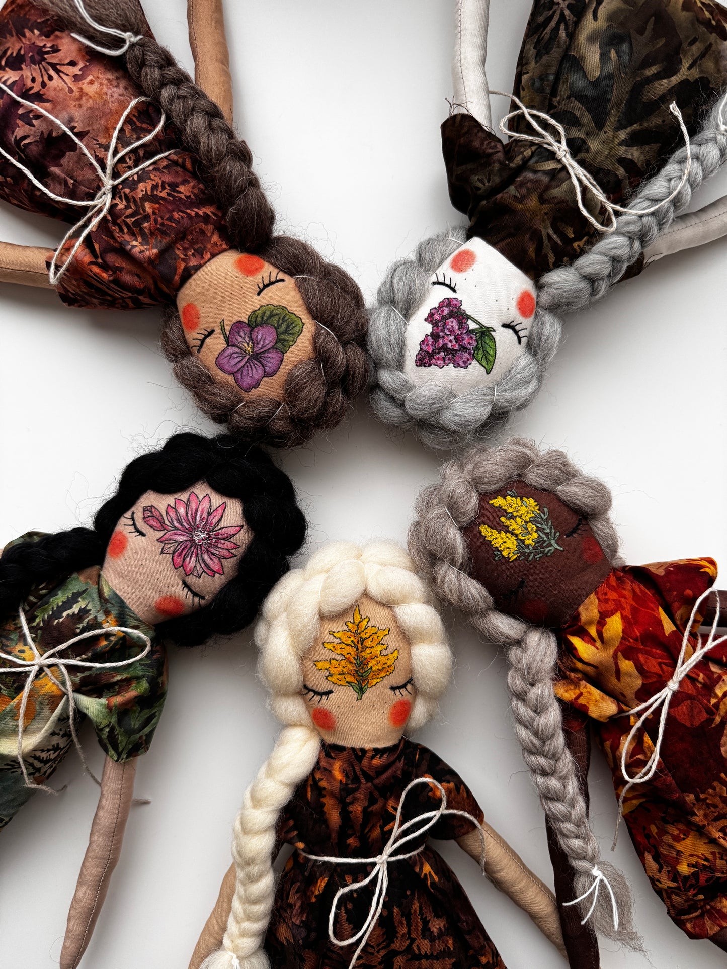 State Flowers : Montana Bitterroot