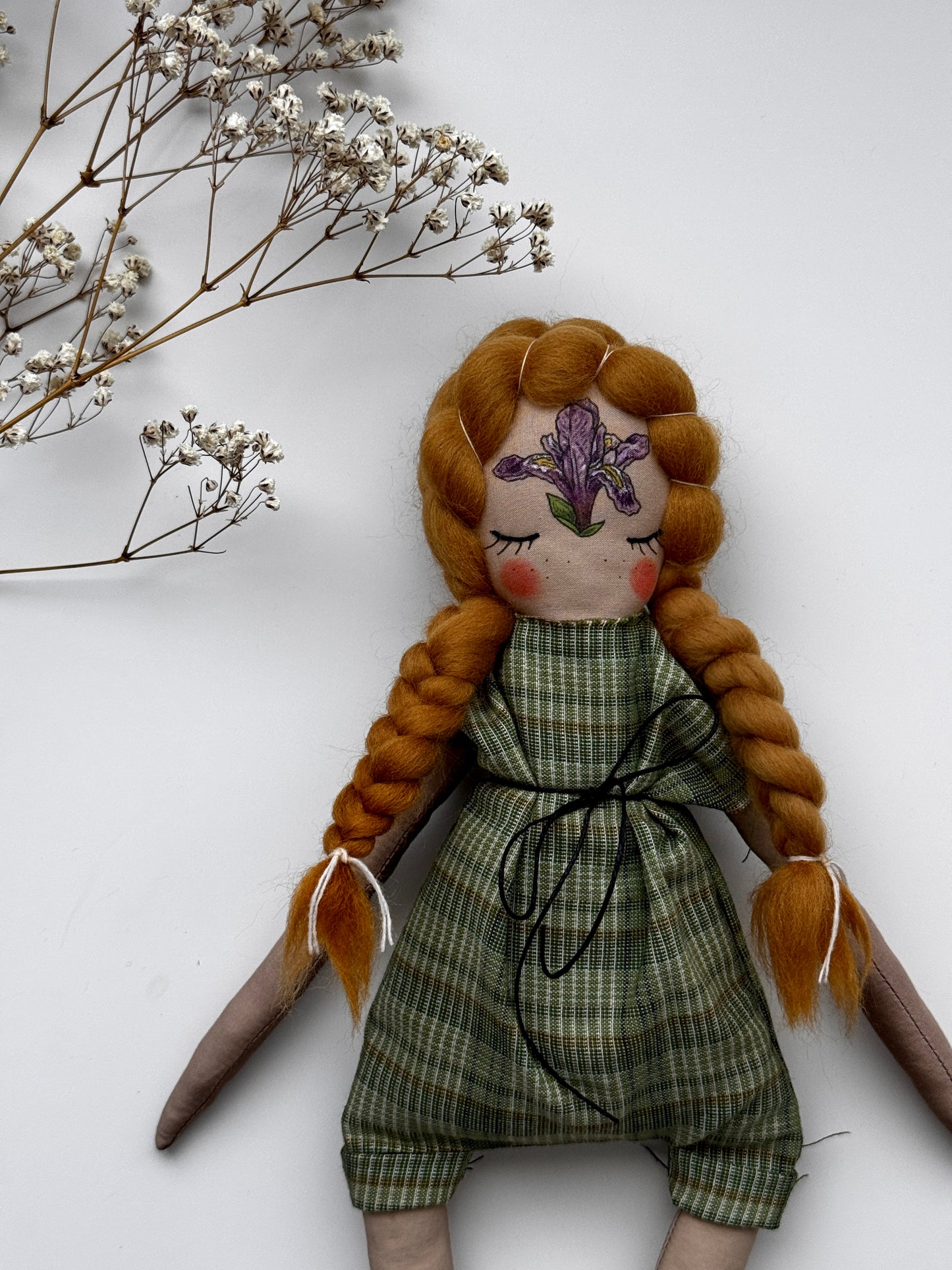 State Flowers : Michigan Dwarf Lake Iris